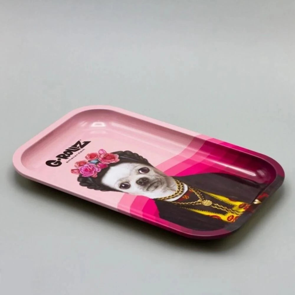 Pets Rock Mexico Rolling Tray M