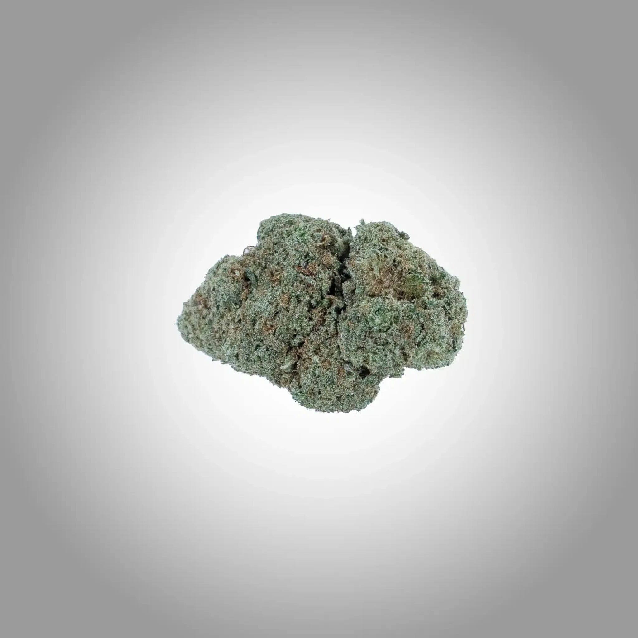 Candy Kush Premium CBD Blüten 1g