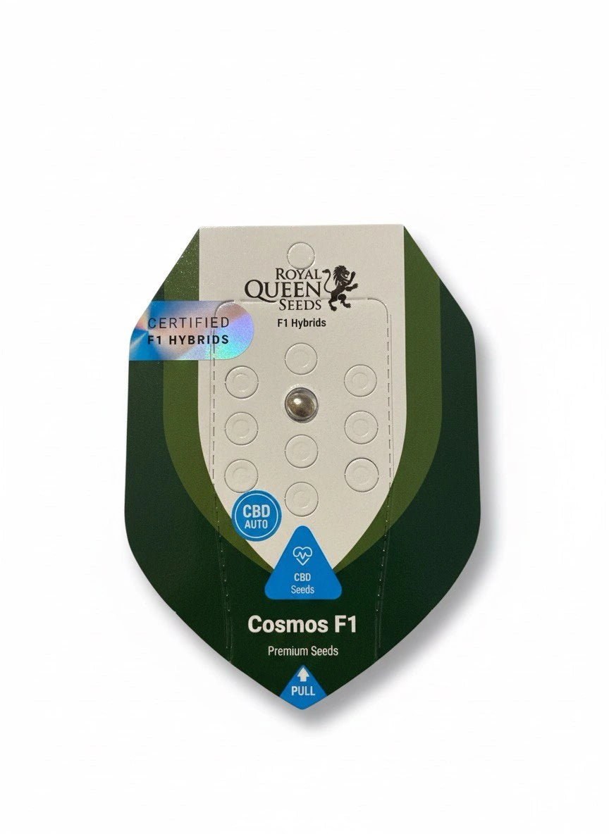 Cosmos F1 Automatic 1x CBD Cannabissamen